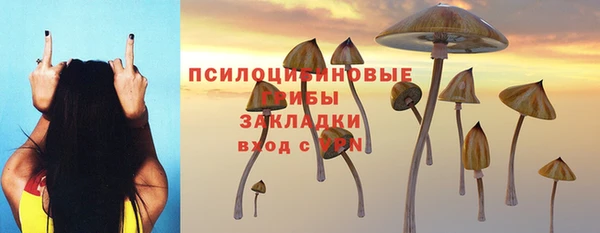 ECSTASY Баксан