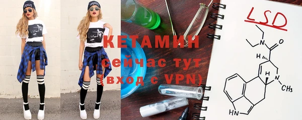 прущие грибы Пересвет