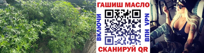магазин    Городище  ТГК вейп с тгк 