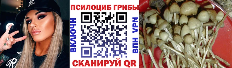 Галлюциногенные грибы ЛСД  Городище 